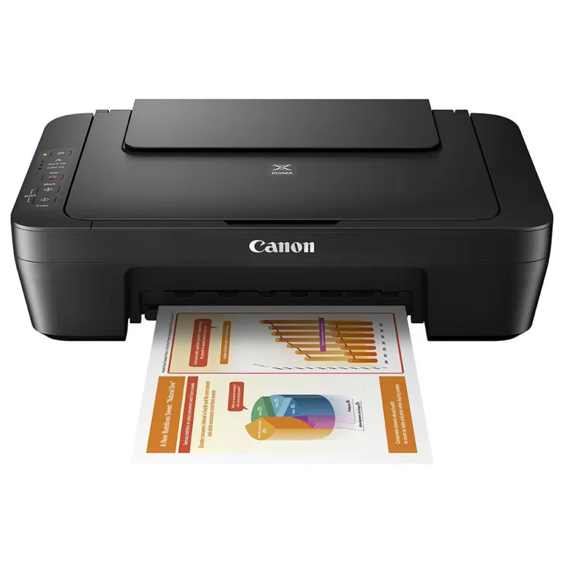 CANON Jet d'encre MG2541S Grey 2-P MFP 3en1