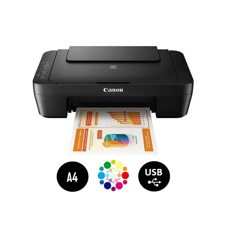 CANON Jet d'encre MG2541S Grey 2-P MFP 3en1